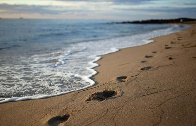 Appartements im Seepark Sellin - Foto 27