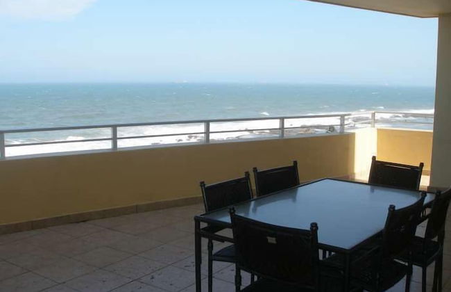 Lazy Lizard - Foto 22