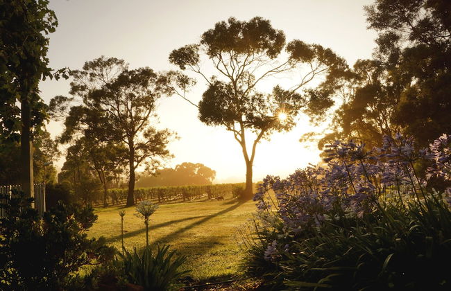 Gisborne Peak Winery Cottages - Foto 52