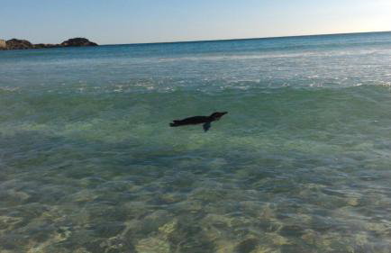 Casa Arraial do Cabo - Foto 8