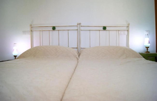 Quinta Manel da Gaita - Foto 15