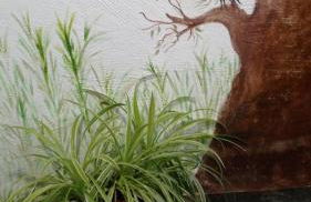 Cueva de la abuela - Foto 8