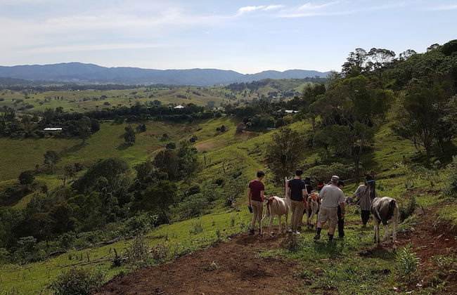 Dayboro Cottages - Photo 19