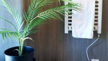 B'Dazzled Flat, Castletown - Photo 2