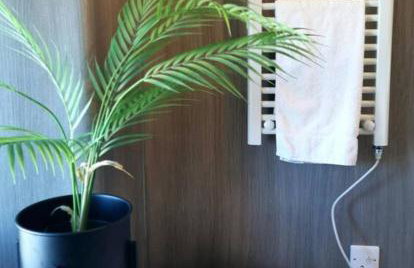 B'Dazzled Flat, Castletown - Photo 2