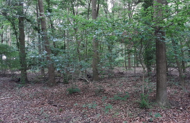 6 Person Holiday Home in Taastrup - Photo 17