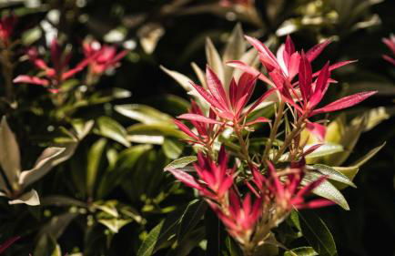 The Old Milking Parlour - Photo 13