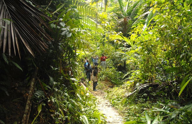 Eco Park Inn - Foto 33