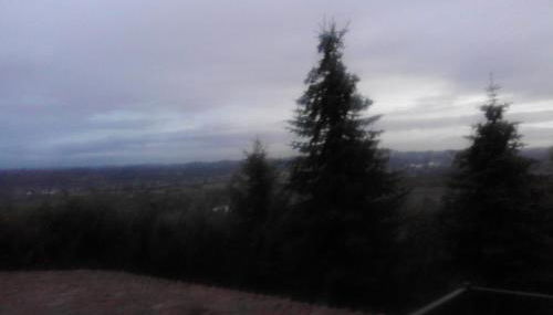 Casa Ramonda - Foto 5