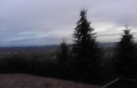 Casa Ramonda - Foto 5