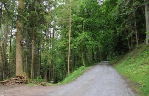Gemütliche Ferienwohnung im Schwarzwald - Photo 33