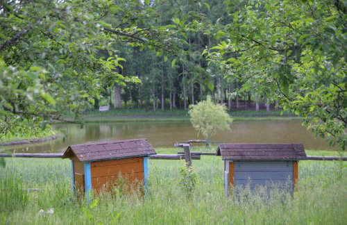 Siedlisko Leszczewek - Foto 51