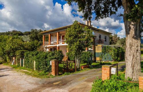 Casa marina Ampio - Castiglione - Photo 21