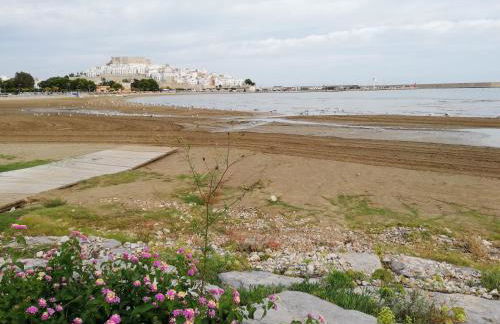 Sweet Suite - Photo 36