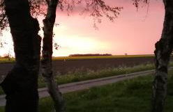 Landhaus Löwenzahn - Foto 37