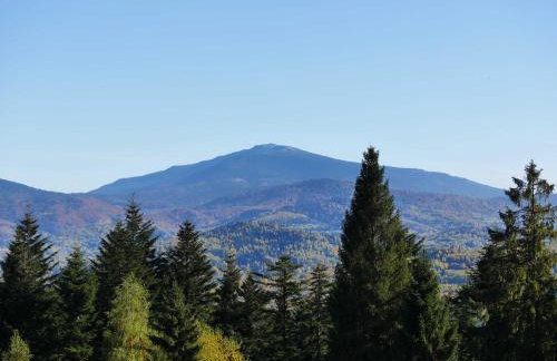 Apartamenty przy Hotelu Żywieckim - Foto 29