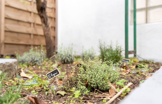 Appartements Centre Marseille - Foto 41