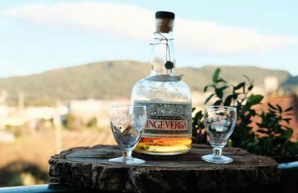 Casa das Flores - Foto 8