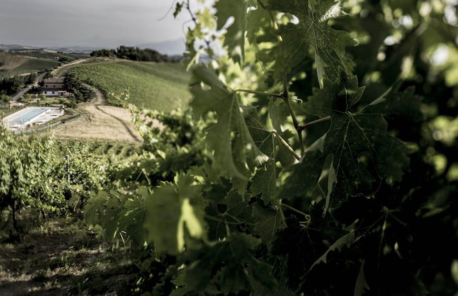 Apartment in Ascoli Near Sea Beach - Foto 34