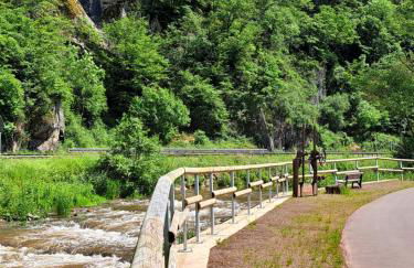 Ferienwohnung "Mosel" - Foto 61