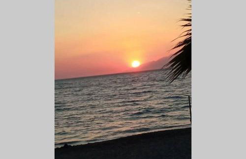 Sonia`s luxury apartment with jacuzzi - Photo 55