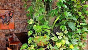 Ôxente que lugar arretado! - Photo 2