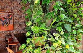 Ôxente que lugar arretado! - Photo 2