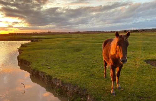 Beck Cottage, Wood Green, New Forest UK - Foto 40