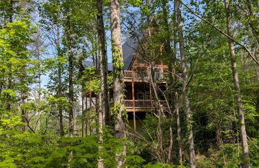 Mountain View Retreat with Large Swim Spa, Game Room - Foto 13