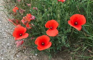 Souterrain Ferienwohnung - Foto 25