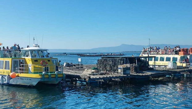 Conociendo el funcionamiento de las bateas gallegas