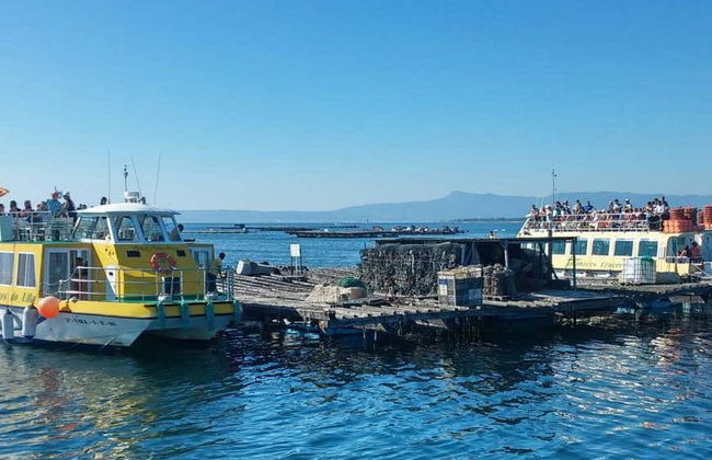 Paseo en barco por la ría + Degustación de mejillones - Foto 1