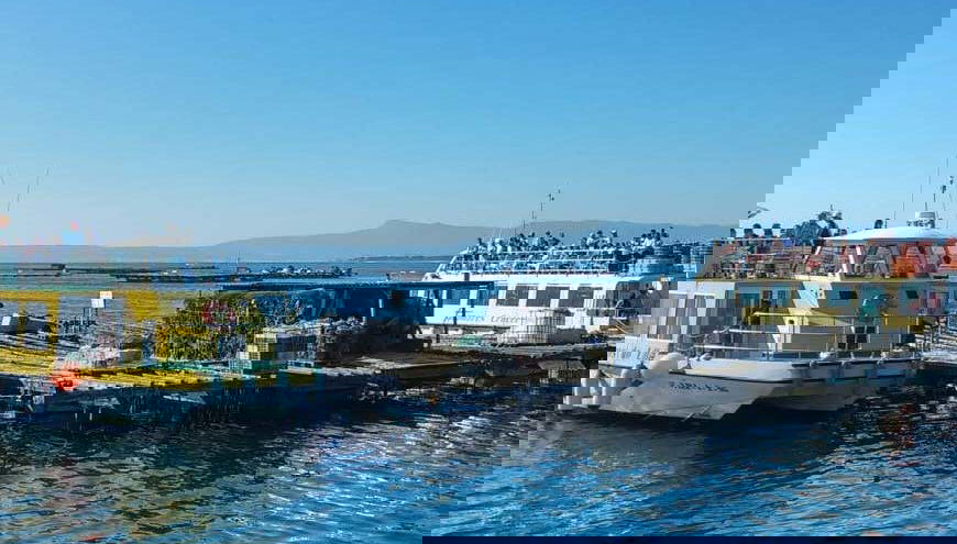 Galician Mussels Boat Tour + Tasting - Foto 1