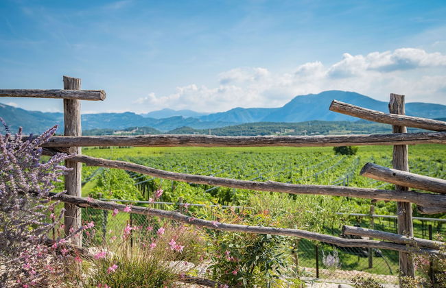 Agriturismo La Pertica - Photo 50