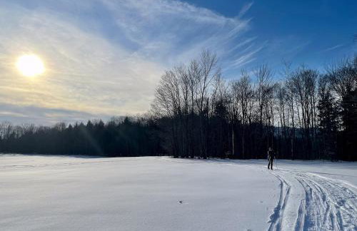 Modern Retreat with Sauna between Stowe and Waterbury - Foto 13