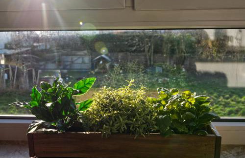 Hermes Apartments Siebengebirge - Foto 67