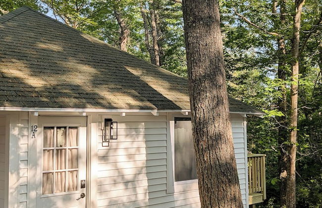 Hinckleys Dreamwood Cottages - Photo 74