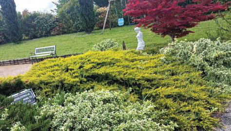 Appartement, classé 3 étoiles tout confort, piscine en saison, au calme pour un couple - Foto 3, Garden, Garden view