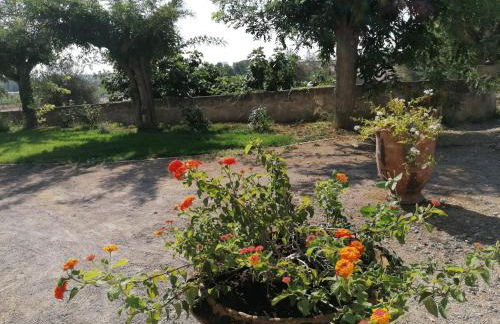 Domaine de la Vidalle - Foto 50