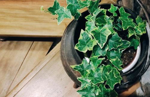 Casa Boletus - Foto 45