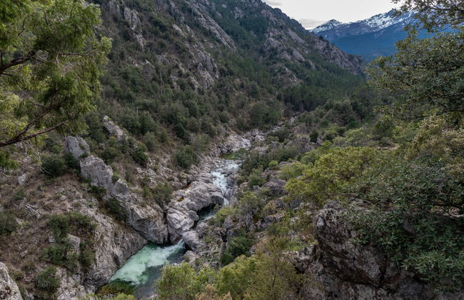 Migone de Sampolo - Foto 25