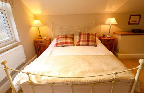 Natterjacks - Foto 38