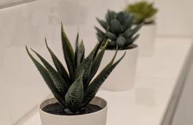 Modern and Central for up to 4 guests - Foto 24