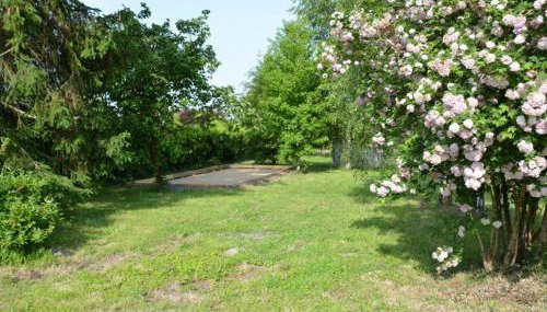 Maison de caractère 1840 en Touraine avec grand jardin, pêche, à proximité de Loches et châteaux. - FR-1-381-558 - Foto 2