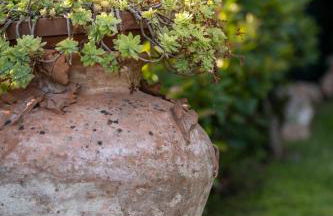 Capitati...per caso - Foto 43