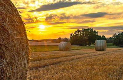Escapade en Alsace - gîte de charme pour deux à Bergheim - Foto 19