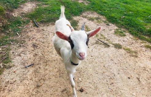 Stunning Home In Eyraud-Crempse-Maurens - Foto 12