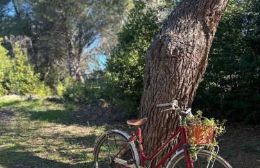 Villa Zoë - Foto 30