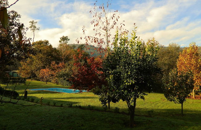 Treehouse Quinta Lamosa - Foto 23