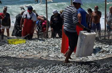 REFÚGIO DOURADO - Foto 68